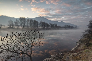 Sorico Prints: Clouds reflected in River Mera at dawn, Sorico, Como province, Lower Valtellina, Lombardy