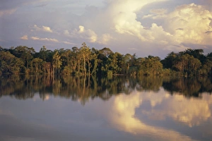 Papua New Guinea Prints: Clouds reflected in the Sepik River