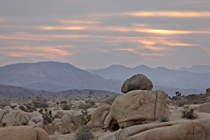 Red Rocks Prints: Cloudy sunrise, Joshua Tree National Park, California, United States of America
