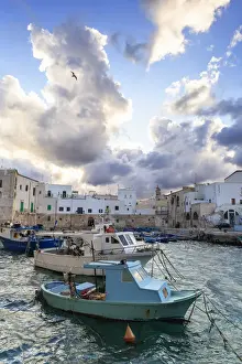 Aves Prints: Cloudy sunset in the port of Monopoli, Apulia, Italy, Europe