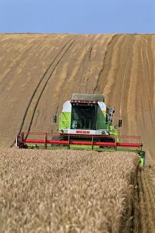 Wiltshire Collection: Cls combine harvester harvesting wheat grown on the downs in Wiltshire