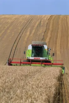 Cls combine harvester harvesting wheat grown on the downs in Wiltshire