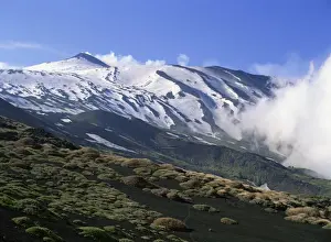 Mount Etna Prints: Clumps of thorn amid lava fields on northern slopes of Mount Etna, Sicily, Italy, Europe