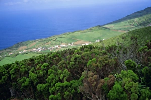 Sao Jorge Island Prints: Coast, Miradouro de Rosais