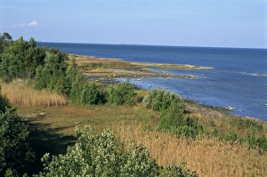 On the coast of Muhu, an island to the west of Tallinn, Muhu, Estonia, Baltic States
