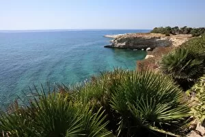 Images Dated 12th August 2010: Coast near Cassibile, Siracusa Province, Sicily, Italy, Mediterranean, Europe