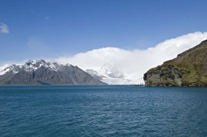 Images Dated 26th February 2009: Coast near Grytviken, South Georgia, South Atlantic