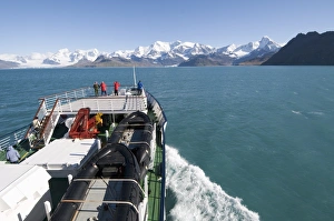 Images Dated 26th February 2009: Coast near Grytviken, South Georgia, South Atlantic