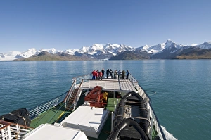 Images Dated 26th February 2009: Coast near Grytviken, South Georgia, South Atlantic