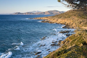 Ile Rousse Prints: Coast near L lle Rousse, Corsica, France, Mediterranean, Europe
