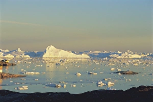 Ilulissat Prints: Coast near town of Ilulissat at 2