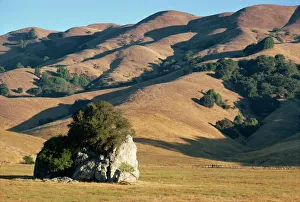Coastal hills of Marin County at dusk