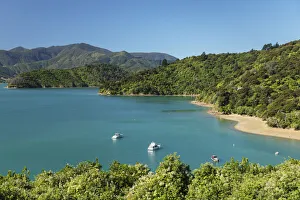 Australasia Prints: Coastal landscape at Kenepuru Sound, Queen Charlotte Track, Marlborough Sounds, Picton