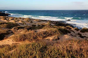 Majesty Prints: Coastal landscape sandy beach dunes