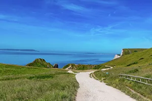 Coastal Path Prints: Coastal pathway with lush grass