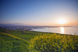 Korean Prints: Coastal scenery and sunset, spring rapeseed blossom, Jeju Island, South Korea, Asia