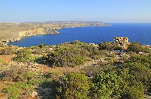 Gorgeous Prints: Coastal scenery vegetation, blue sea looking south from Res il-Qammieh