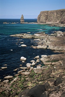 Sea Cliff Prints: Coastal sea cliffs and stacks