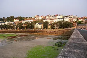 Guernsey Prints: Coastal townscape with waterfront buildings and green seagrass at low tide in St Peter Port
