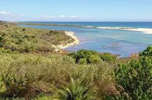Shrubs Prints: Coastal wooded landscape of pristine beaches and lagoon behind offshore sandbar