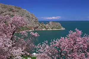 Asia Minor Prints: Coastline of Akdamar Island on Lake Van
