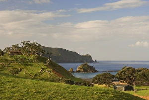 Coastline, Bay of Islands