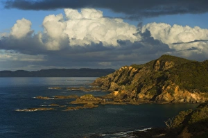 Coastline, Bay of Islands