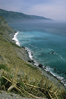 Monterey County Prints: Coastline between Big Sur and San Simeon