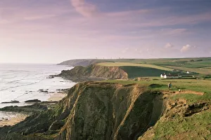 Sea Cliff Prints: Coastline, Bude, Cornwall, England, United Kingdom, Europe