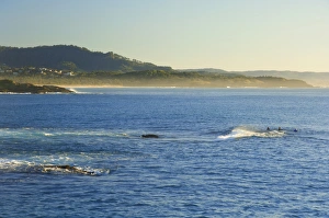 Ns W Prints: Coastline, Coffs Harbour, New South Wales, Australia, Pacific