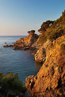 Costa Brava Prints: Coastline at dawn, Calella de Palafrugell