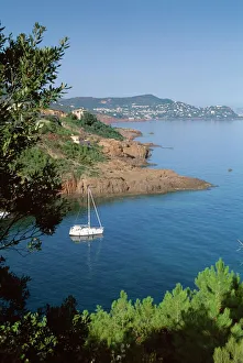 Provence Prints: Coastline, Esterel, Cote d Azur, Provence, Mediterranean, France, Europe