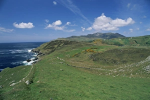 County Donegal Prints: Coastline and hills near the Slieve League cliffs
