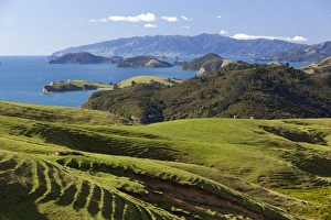 North Island Prints: Coastline looking north towards Coromandel and Hauraki Gulf
