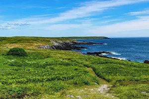 Newfoundland And Labrador Prints: Coastline of Mistaken Point, UNESCO World Heritage Site