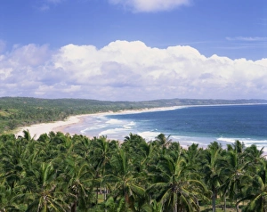 Mozambique Prints: Coastline, Mozambique, Africa