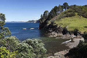 Waikato Prints: Coastline near Tuateawa, Coromandel Peninsula, Waikato, North Island, New Zealand, Pacific