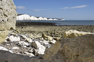 Seven Sisters Prints: Coastline at Seven Sisters, Hope Cove