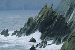 Kerry Prints: Coastline at Slea Head
