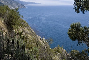 Coastline View Prints: Coastline view