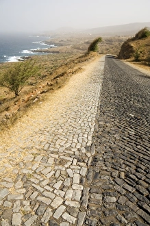 North Coast Prints: Cobblestone road on north coast of Santiago, Cape Verde Islands, Atlantic Ocean, Africa