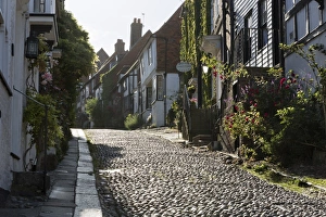 Cobbled Prints: Cobblestone street and old cottages