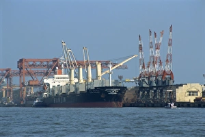 Cochin Prints: Cochin harbour
