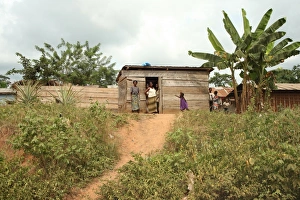 Cocoa producing village, Kumasi, Ghana, West Africa, Africa
