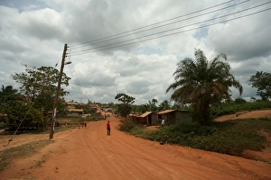 Power Line Prints: Cocoa producing village, Kumasi, Ghana, West Africa, Africa