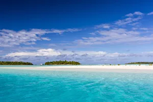 Coconut palm trees line the beach on One Foot Island, Aitutaki, Cook Islands, South Pacific Islands
