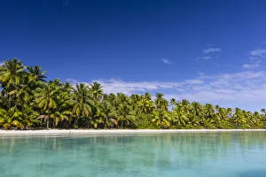 The Pacific Prints: Coconut palm trees line the beach on One Foot Island
