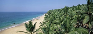 Kovalam Prints: Coconut palms and beach