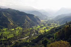 Salento Prints: Cocora Valley, Salento, Colombia, South America