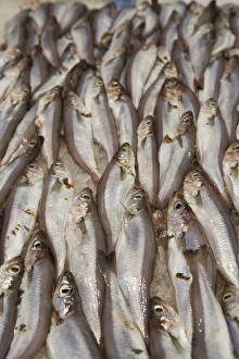 Images Dated 26th June 2007: Cod for sale